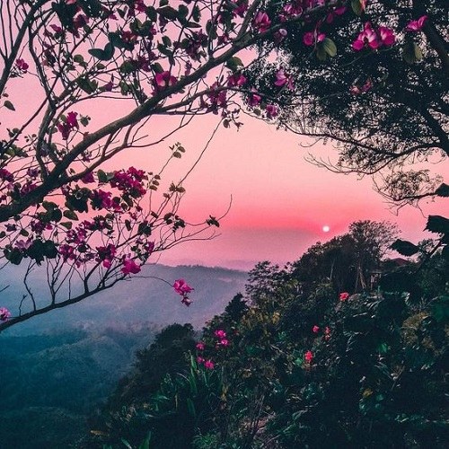 حسن خجسته منی باغیشلا